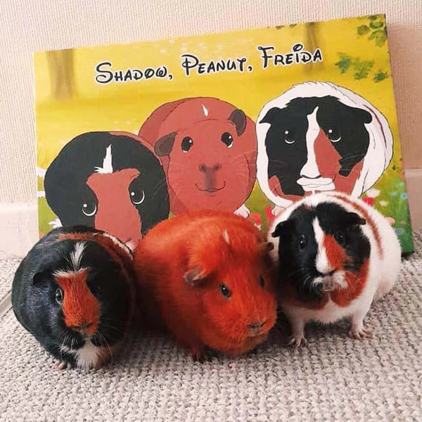 Custom Cartoon Art Wrapped Pet Canvas (7298716860512)