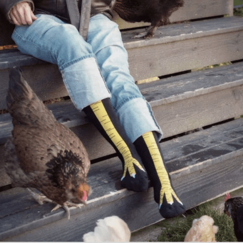 Chicken Legs Socks - Novelty Socks Funny Gift (4356124672096)